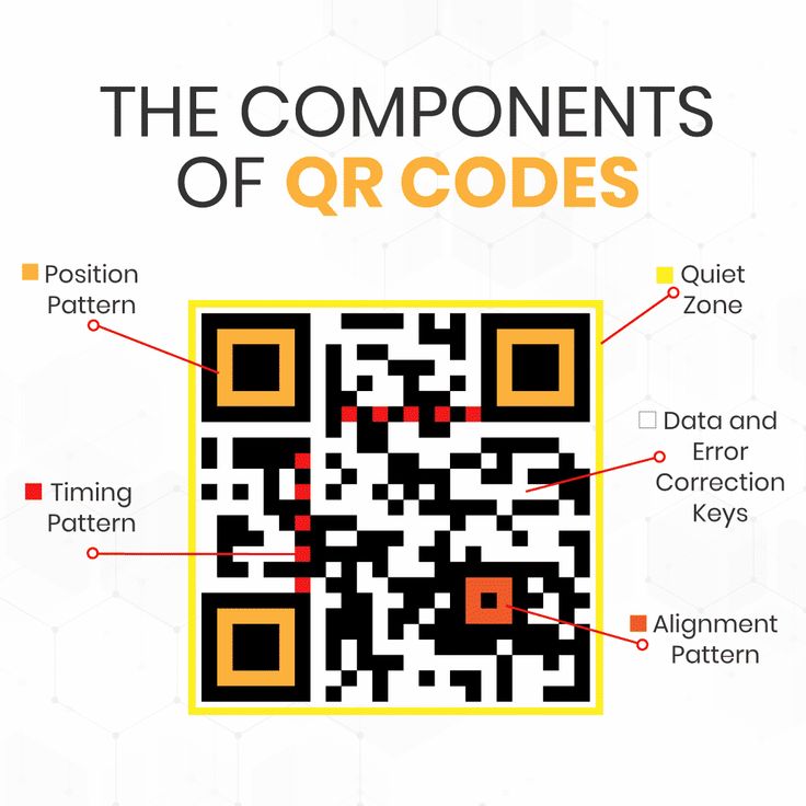 QR Code vs Barcode: Key Differences and Usage Guide